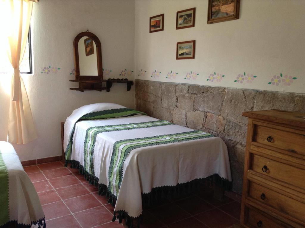 Manzano Guanajuato